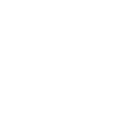 Stake logo